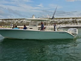 4-8 Hour Trip (Offshore)