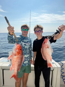 4-8 Hour Trip (Offshore)