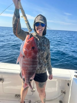 4-8 Hour Trip (Offshore)