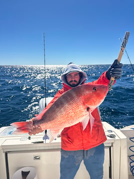 4-8 Hour Trip (Offshore)
