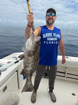 4-8 Hour Trip (Offshore)