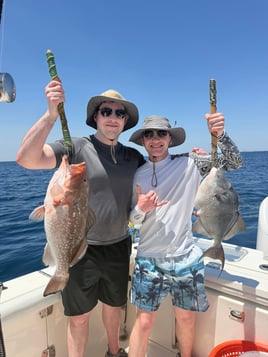 4-8 Hour Trip (Offshore)