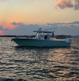 4-8 Hour Trip (Offshore)