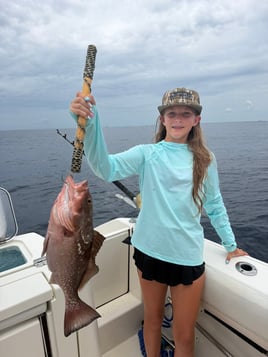 4-8 Hour Trip (Offshore)