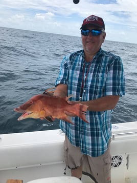 2-5 Hour Fishing Trip