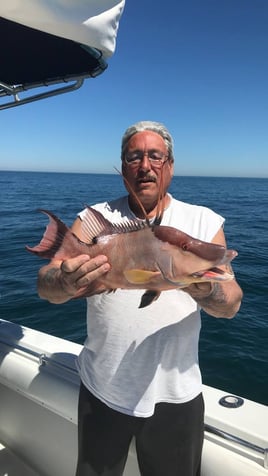 2-5 Hour Fishing Trip