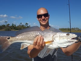 Steinhatchee Florida Fishing
