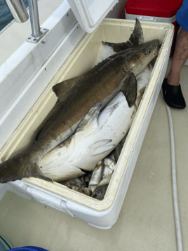 Full day Fishing Trip - 40’ Evans