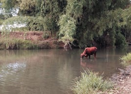 River Fishing