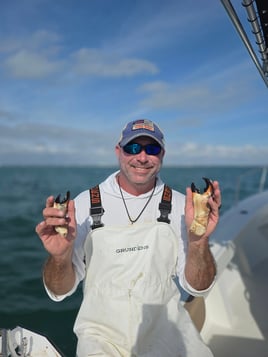 Stone Crab Experience 