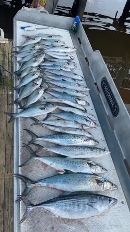 6 Hour Nearshore