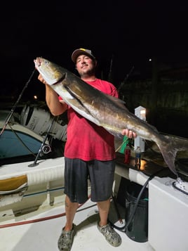 Shark Fishing