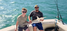 Shark Fishing
