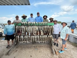 4-8 Hour Inshore Trip