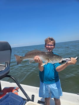 4-8 Hour Inshore Trip