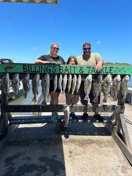 4-8 Hour Inshore Trip