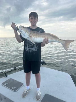 4-8 Hour Inshore Trip
