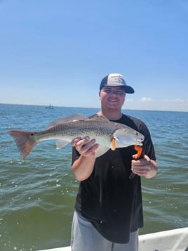 4-8 Hour Inshore Trip