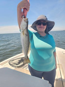 4-8 Hour Inshore Trip