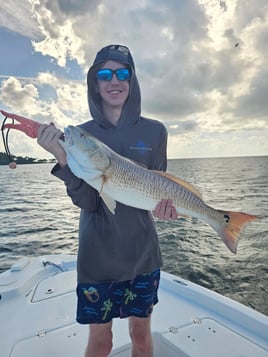 4-8 Hour Inshore Trip