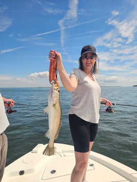 4-8 Hour Inshore Trip