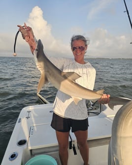 4-8 Hour Inshore Trip