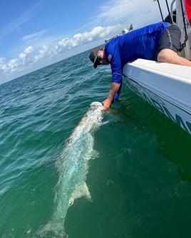 4-8 Hour Trip – Tarpon
