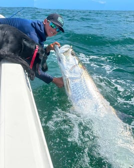 St Pete Tarpon Fishing