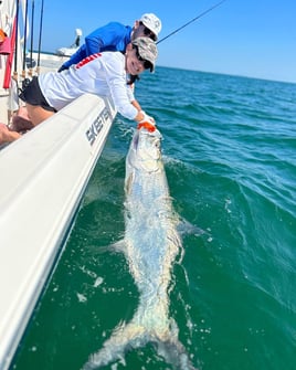 St Pete Tarpon Fishing