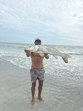 Sunrise Gulf Tarpon Fishing