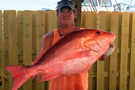 12 Hour Bottom Fishing / Trolling