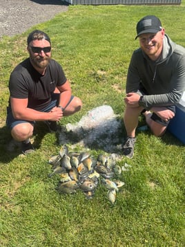 Panfish Trips