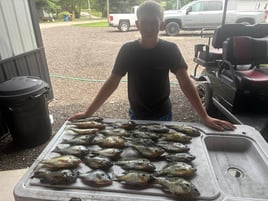 Panfish Trips