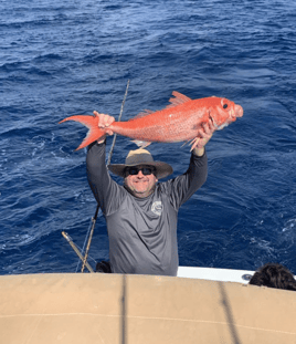 4-8 Hour Offshore Trip