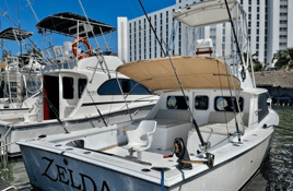 4-8 Hour Offshore Trip