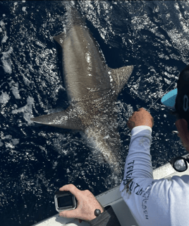 4-8 Hour Offshore Trip