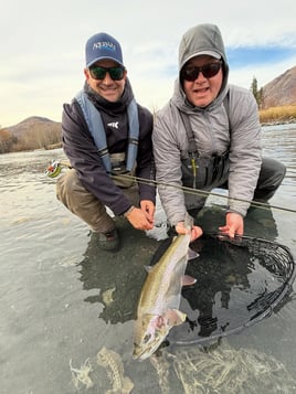 Trout Fishing Trip