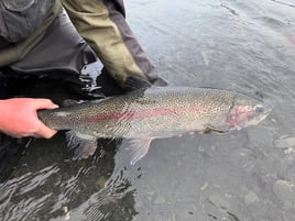 Trout Fishing Trip