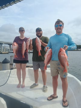 Offshore Slam