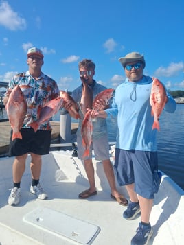 Offshore Slam