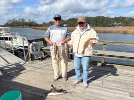 4hr Inshore Fishing