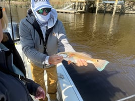 4hr Inshore Fishing