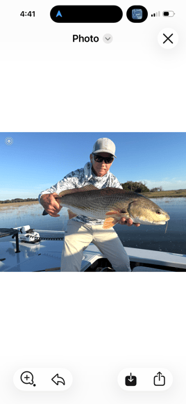 4hr Inshore Fishing