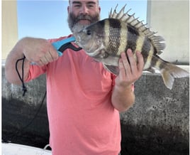Inshore Trips 