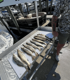 2-6 Hour Trip – Inshore