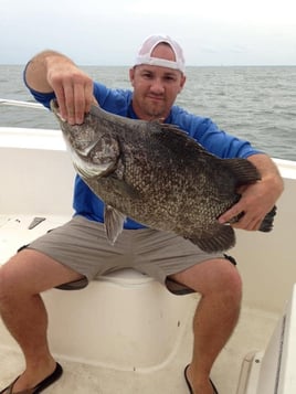 2-6 Hour Trip – Inshore