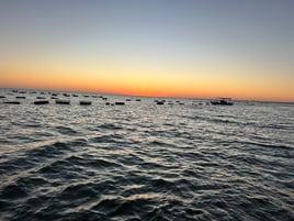 Inshore Island Trips 