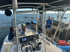 Inshore Island Trips 