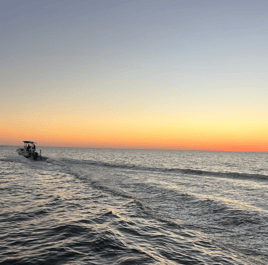 Inshore Island Trips 