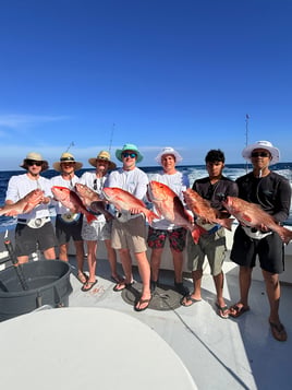 8 Hr Offshore Fishing